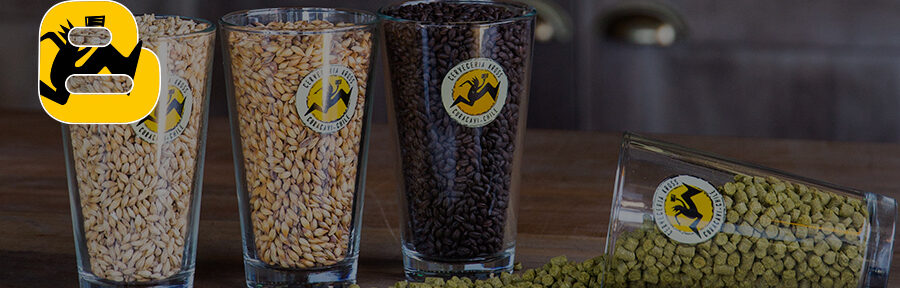 Cerveza artesanal: ¿cómo hacerla en simples pasos?